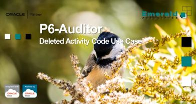 P6-Auditor - Deleted Activity Code Use Case Video